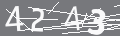 capsa